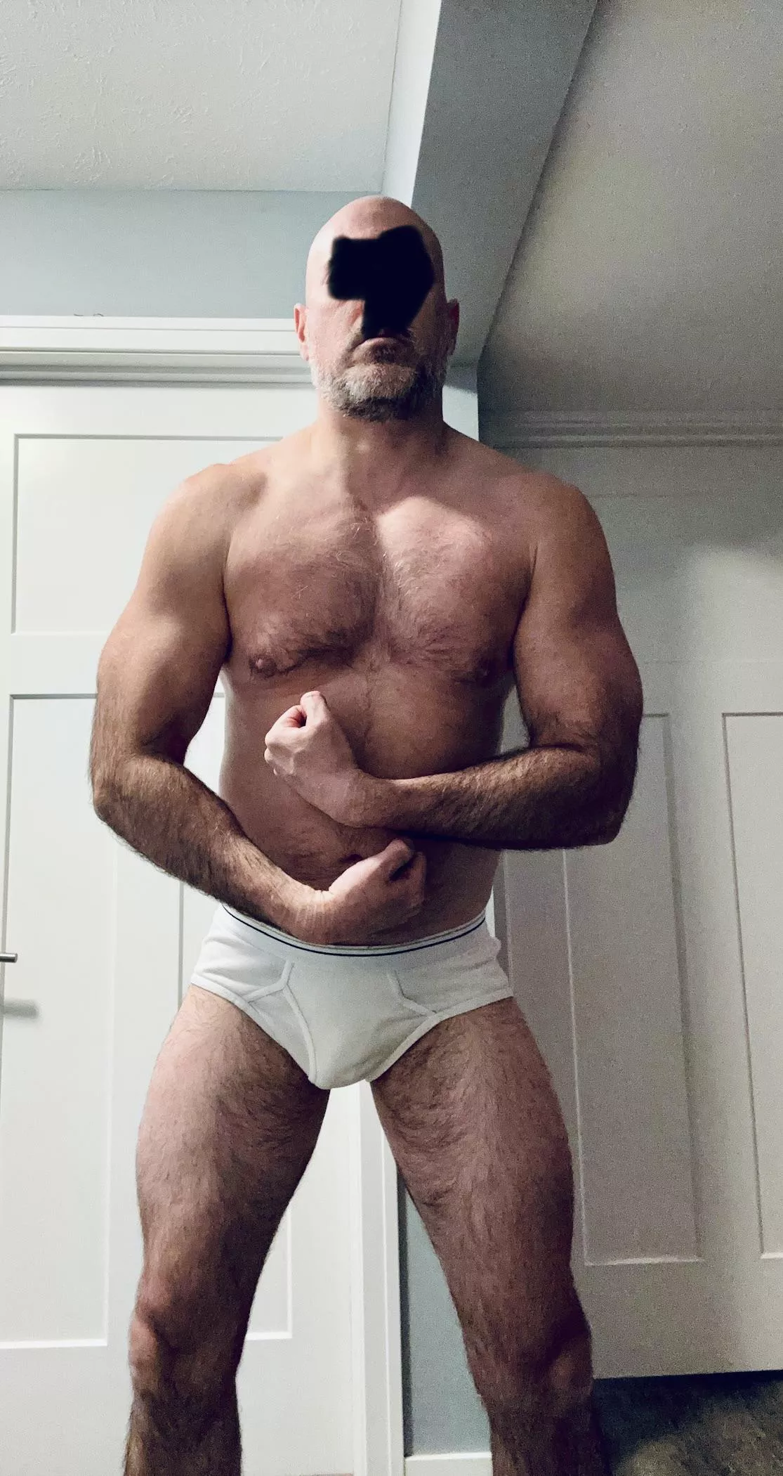 Briefs guy  posted by BeardedBaldJay