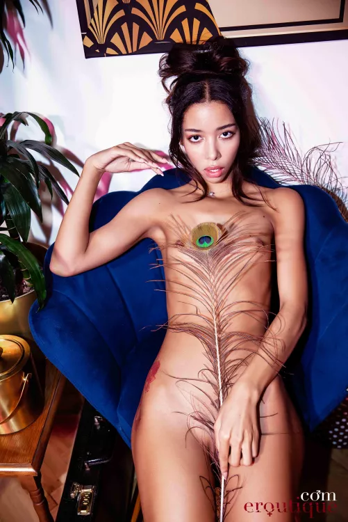 f e a t h e r... [OC[ by Pedro Saudek. by Eroutique