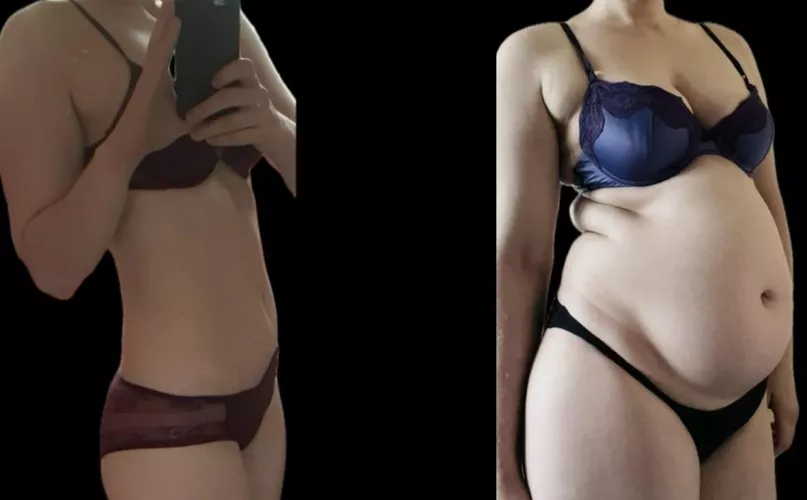 From underweight to borderline obese 😳🤰🥵 by scarlett_belly