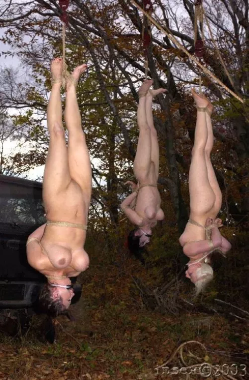 Insex was WILD back in the day.... by MonoGlover