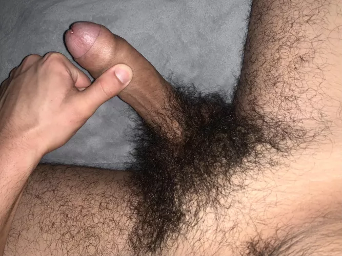 like my bush?  by happywhale1234