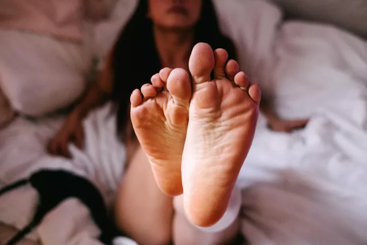 New content for sale. Accept PayPal by ElegantlySophia