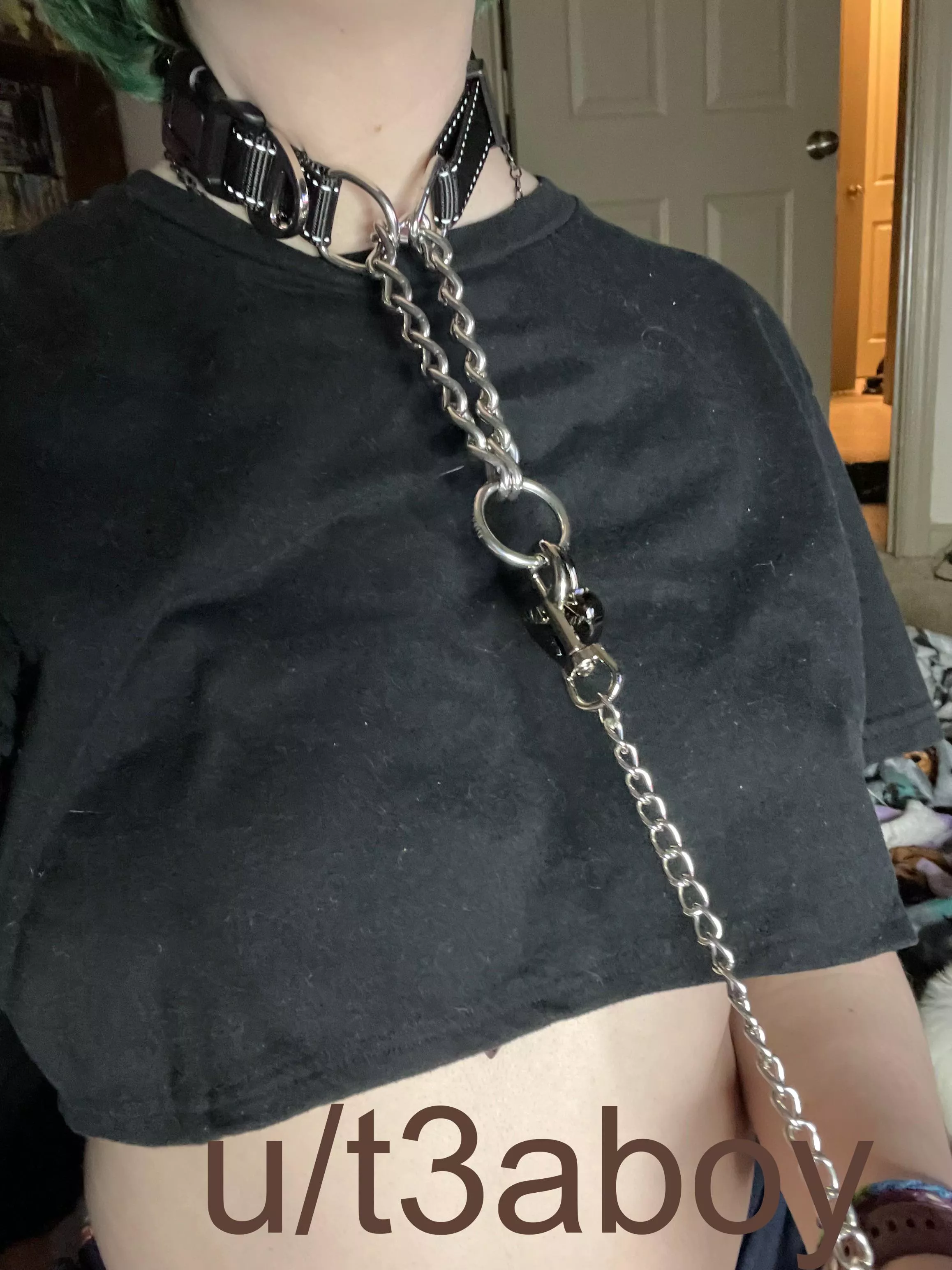 oh nooo don’t pull my collar oh nooo what would i ever dooo posted by t3aboy