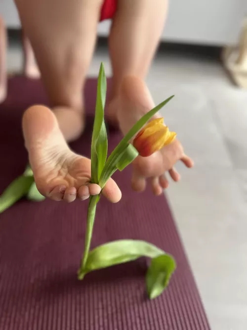 pick a flower  by _ivannabelle