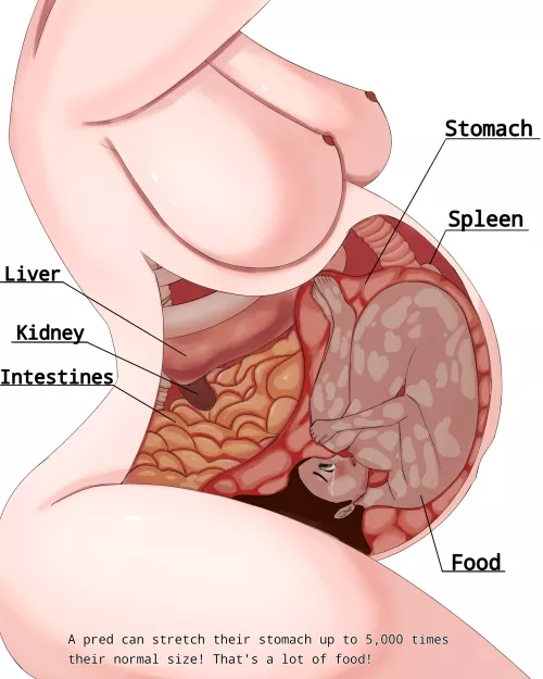 {promo} Hi! I'm an artist looking looking to be commissioned! by kindahotngl301