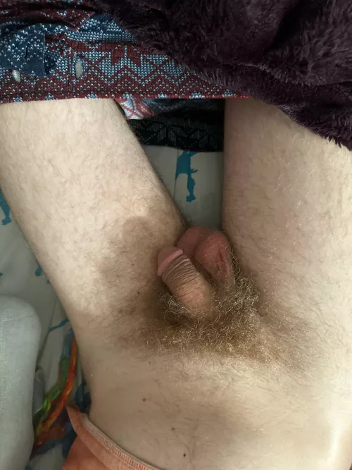 Soft as I can be by Ace_GamingYT