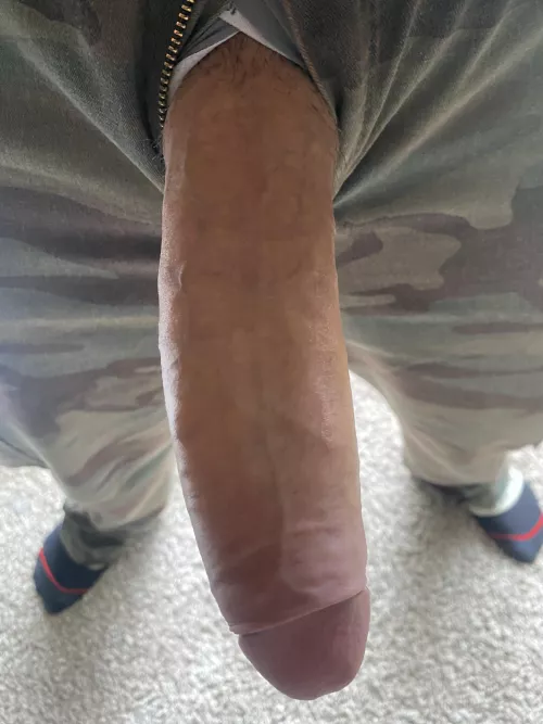 Suck ride or pass by Papigrande_215