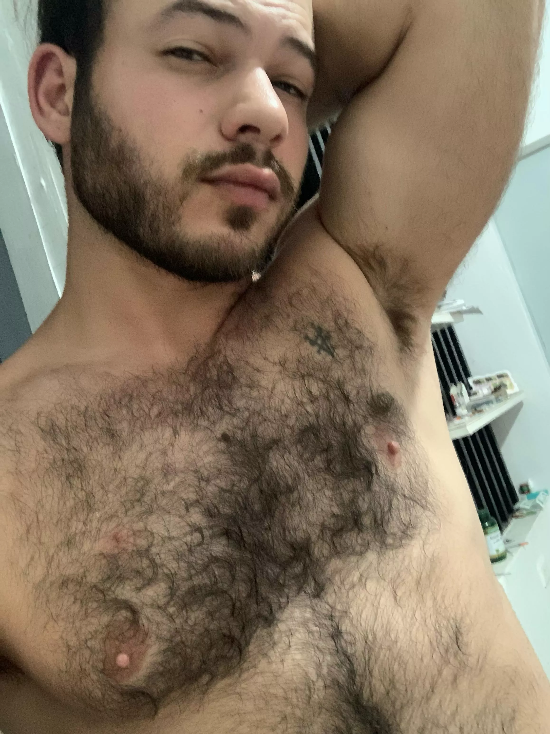 Tropical heat got me all musky  posted by TristanMoreau