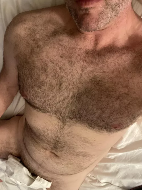 Yes, or No? (42) by ChristoGreyCA