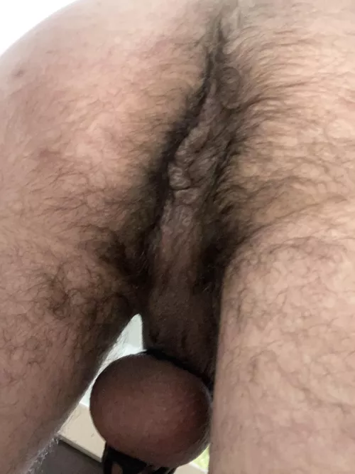 You know you want your face in there by ownedandondisplay