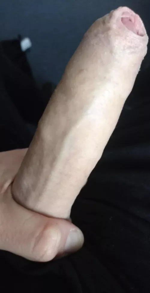 (38) Aussie. I am too horny 😭 can I see your dick? 😏 by Stunning_Teach8204