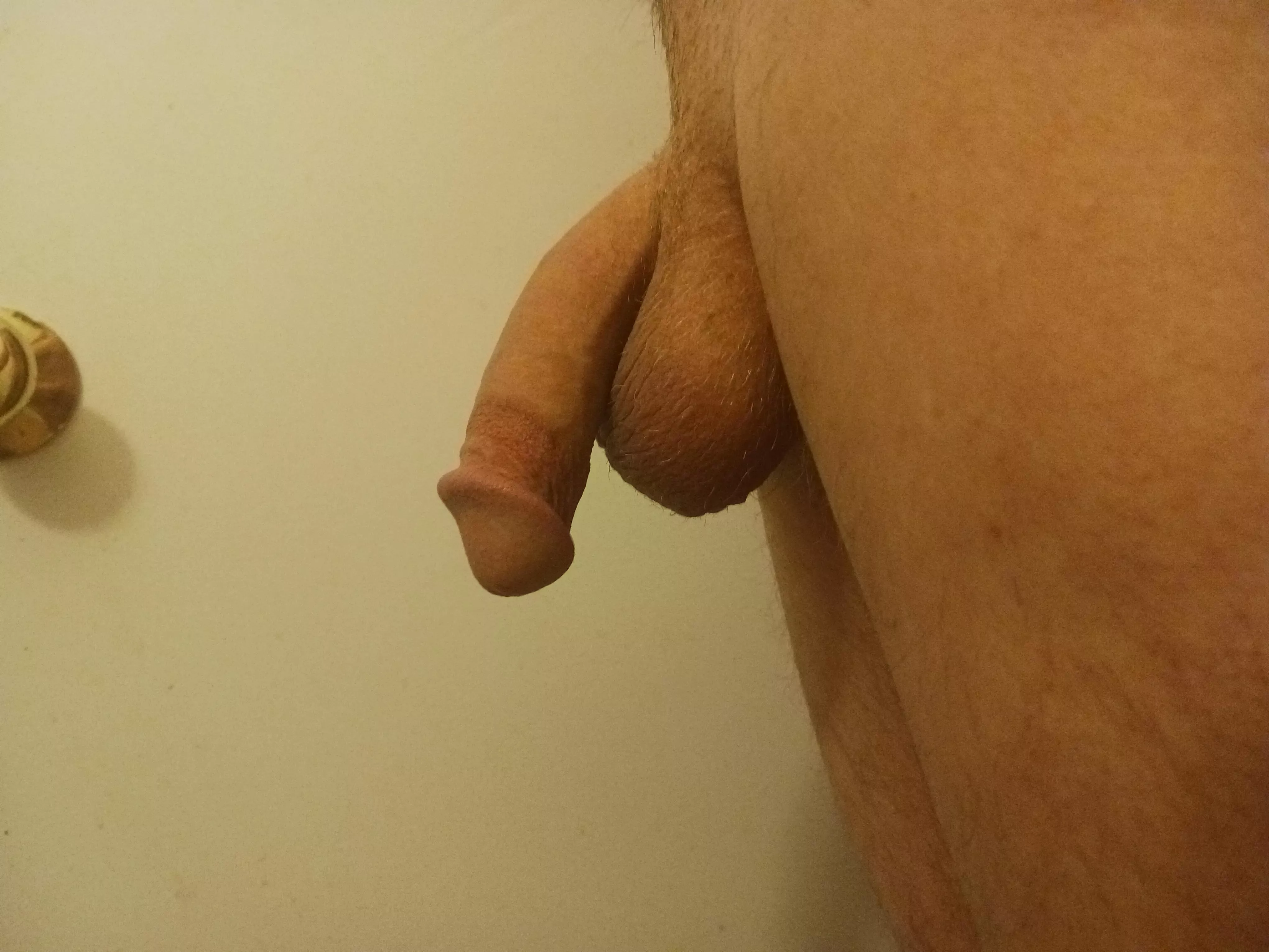 A quick peek before I hop in the shower.[50] posted by Brilliant-Ruin-9643