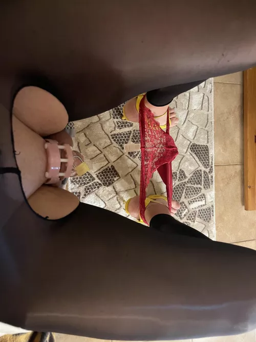 Caged Sissy by taylor_swiftcd