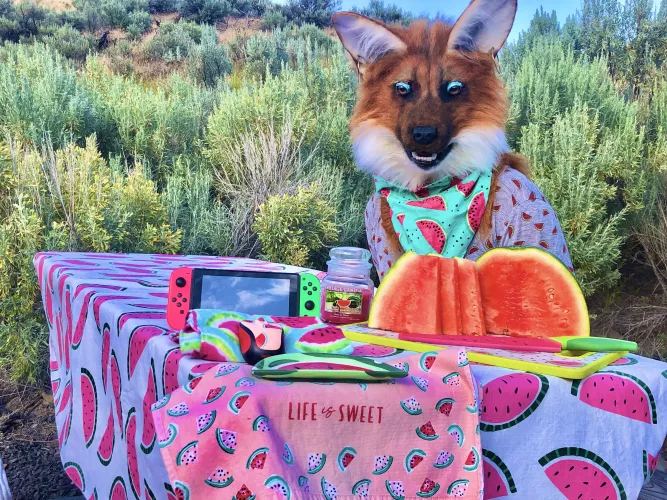 Easily my favorite pic of my fursona! (ZulayaWolf) by Chyroso72