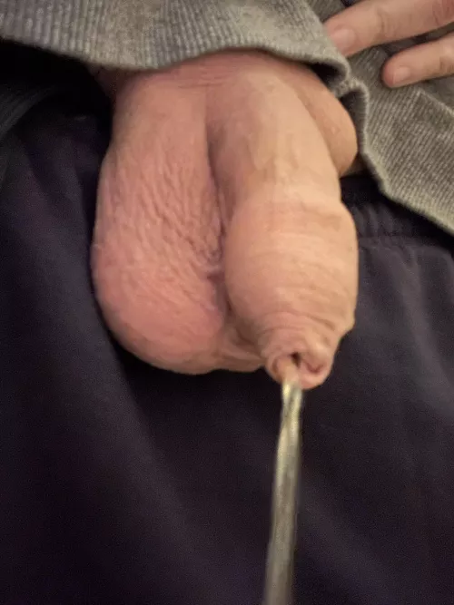 First Piss of the day. Any taker? by Nicht_mein_Account