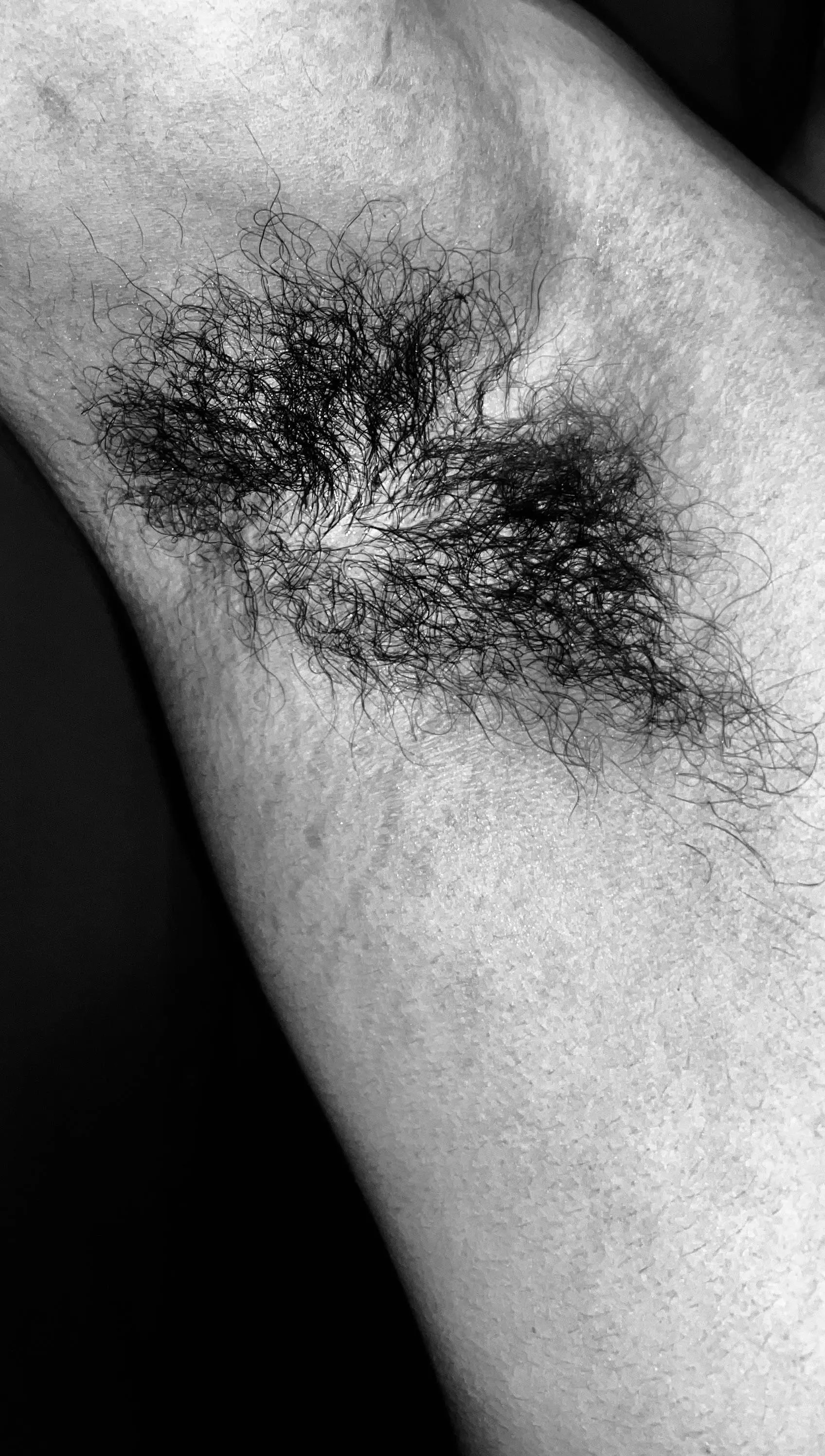 Hi! posted by Educational_Poet5430