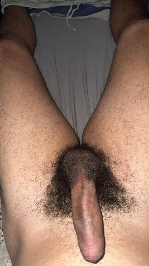 I really love my bush, do you ? by vincentsza