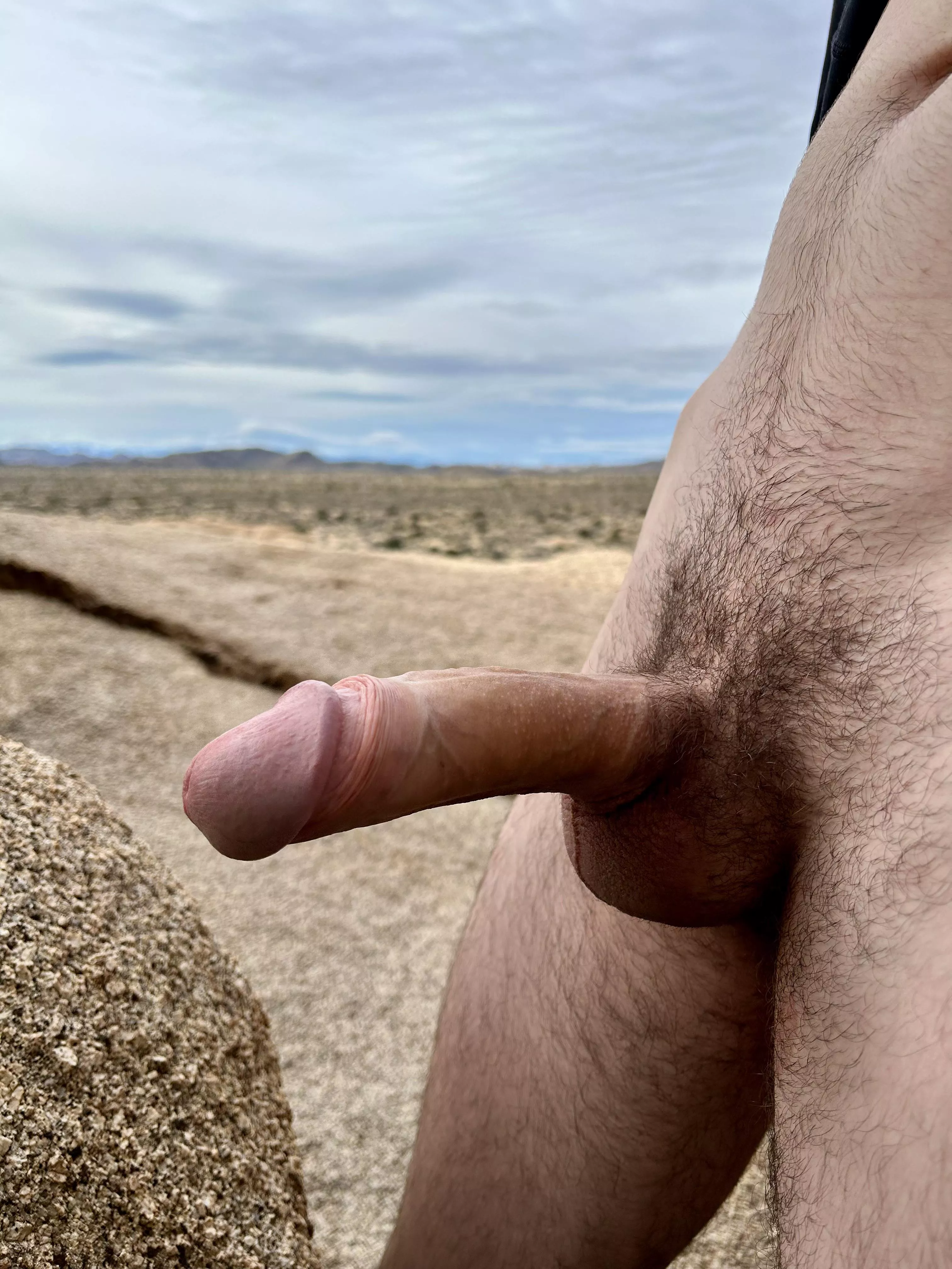 Joshua tree is beautiful this time of year 😉😈 posted by TOUncut