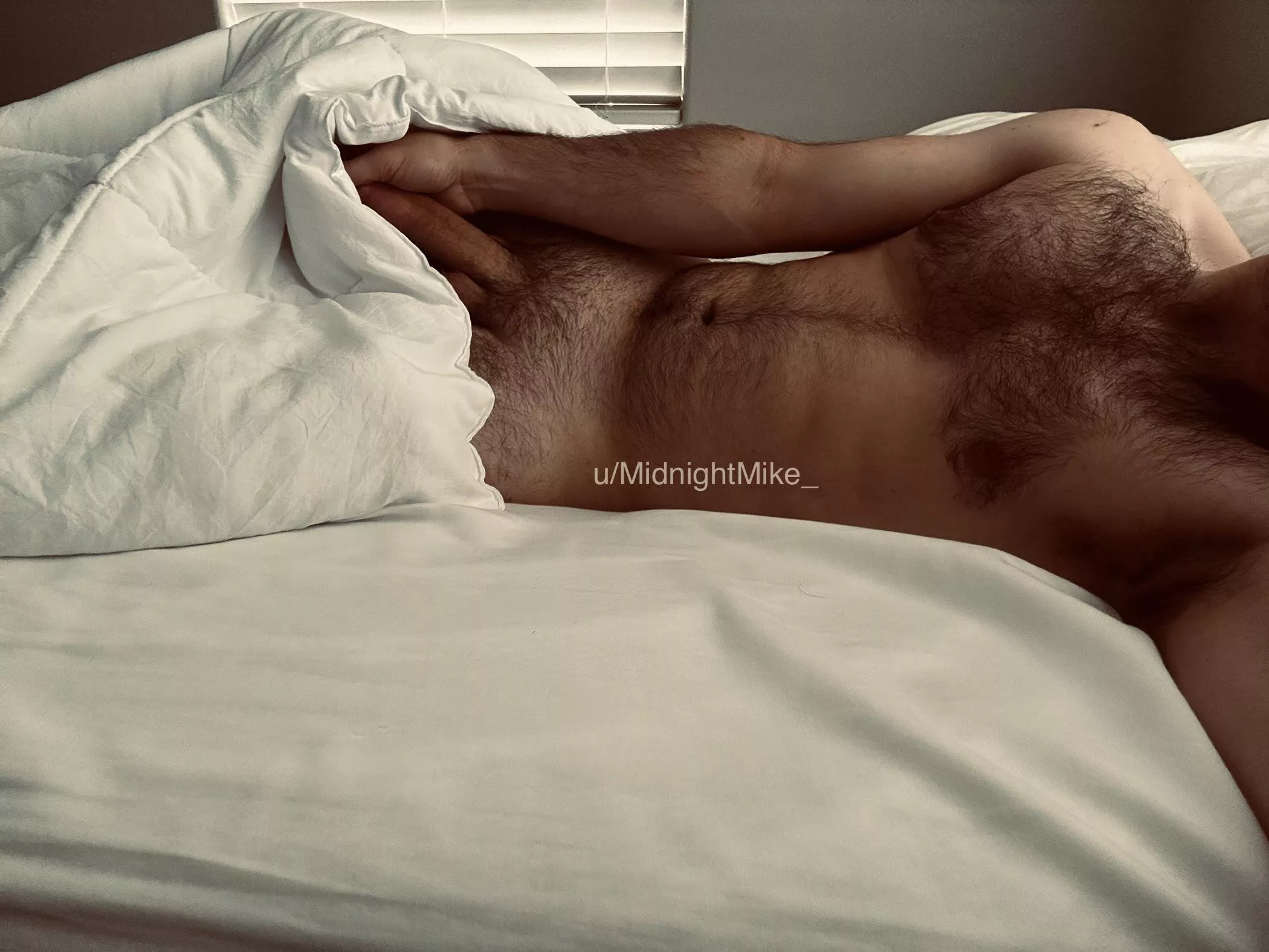 Snow day  posted by MidnightMike_