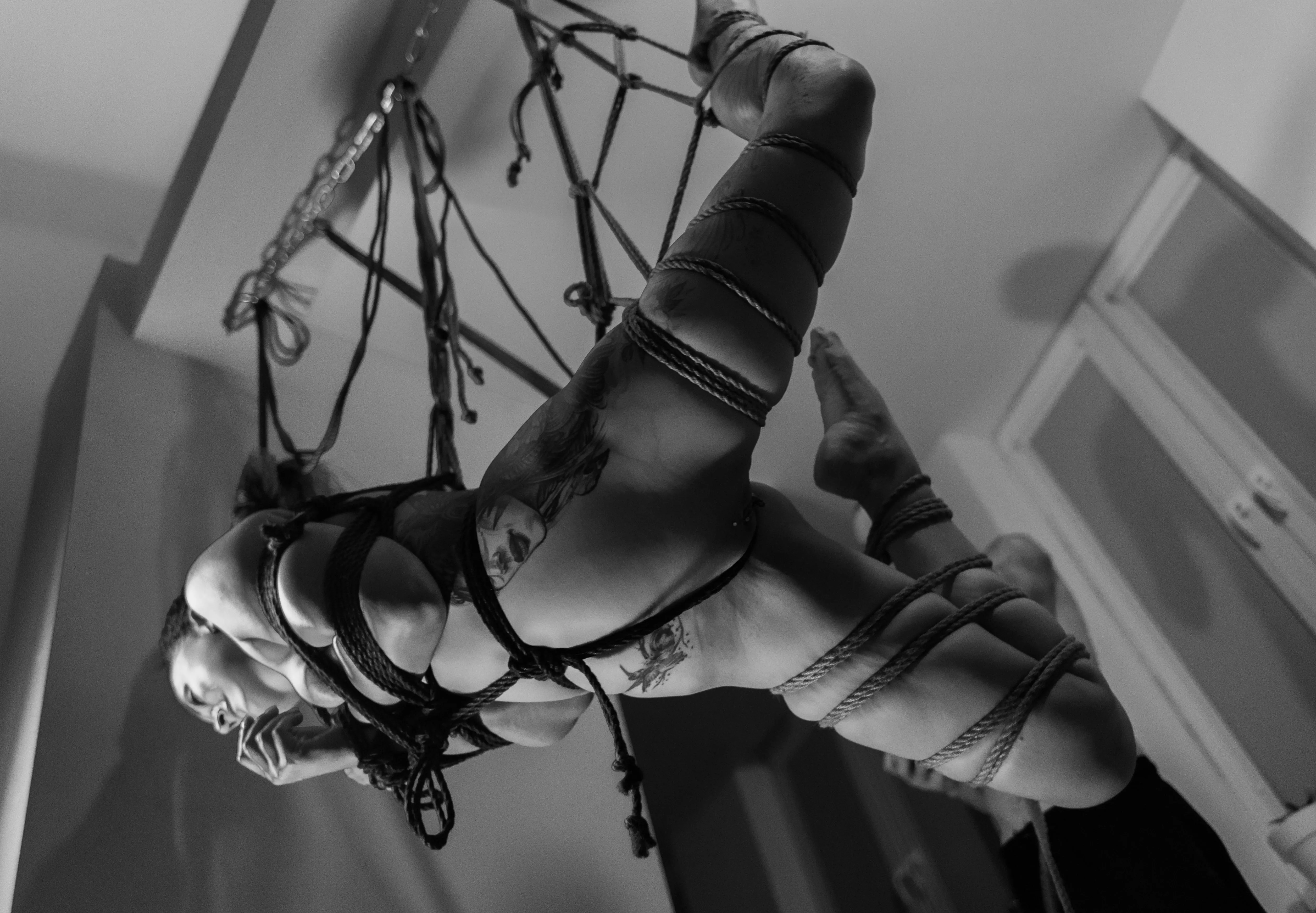 suspended animation posted by notskidster