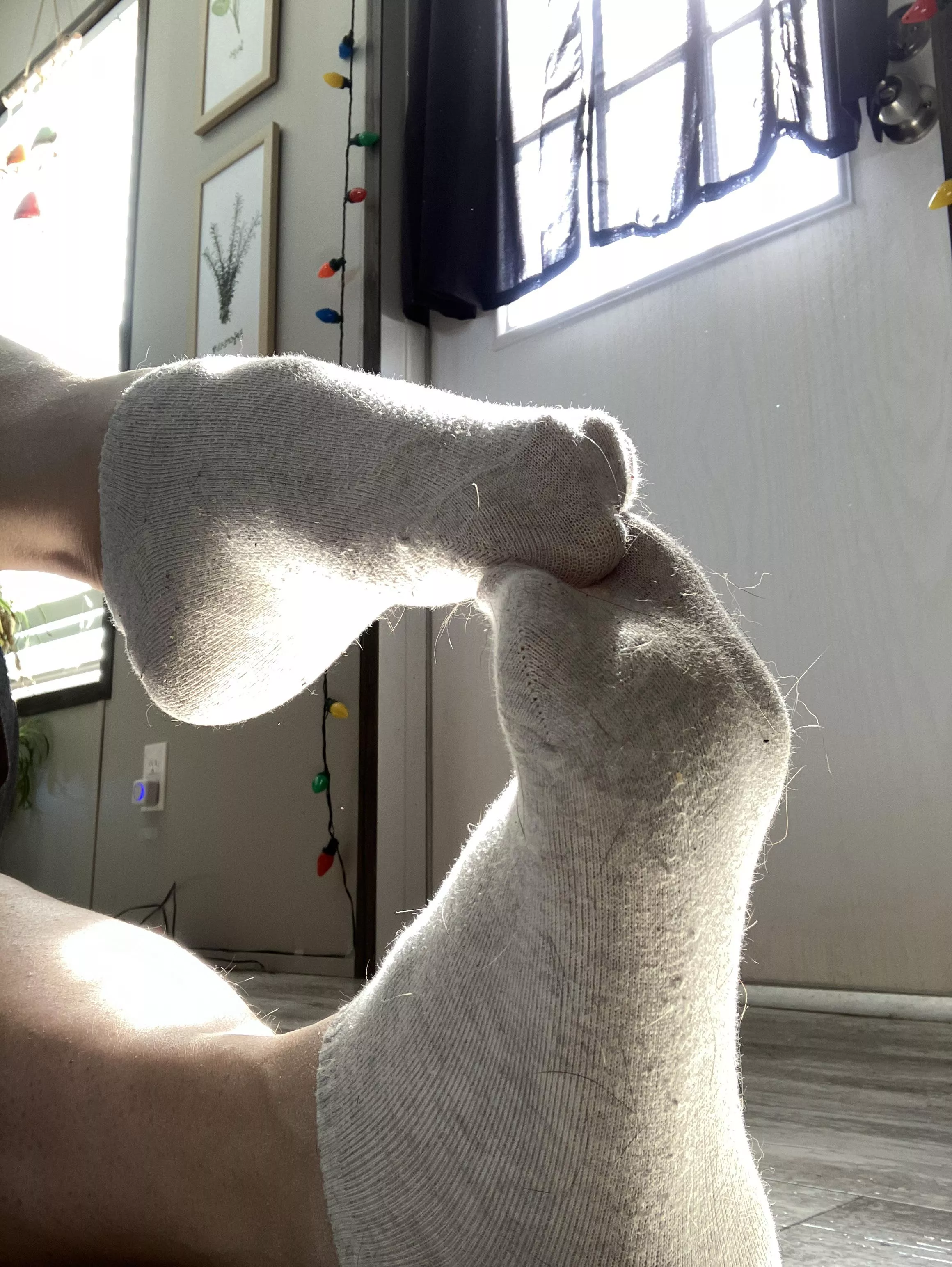 Sweet little ankle socks need a new home ! posted by urberkj