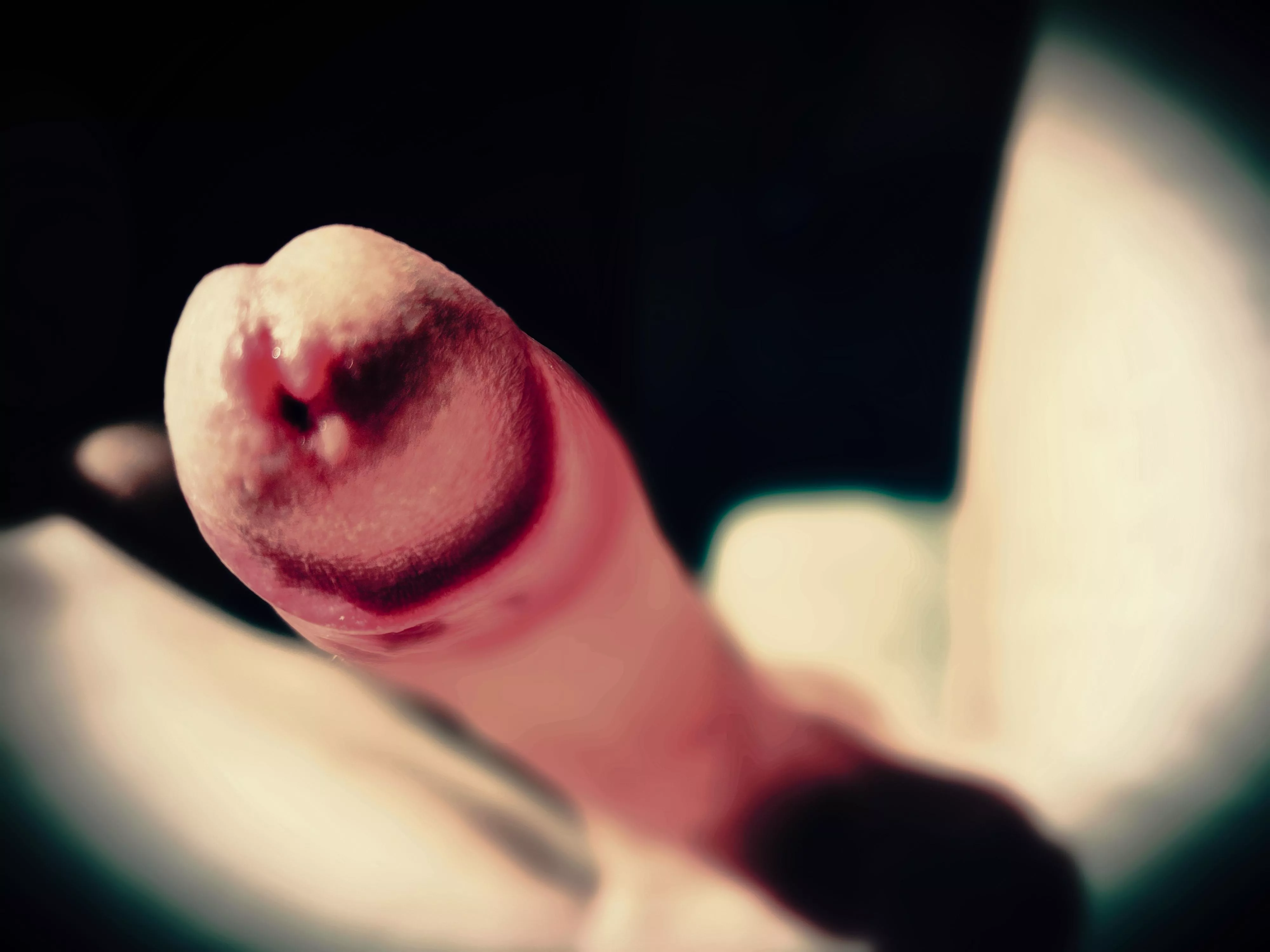 Up and at 'em posted by CoarseGrainedMouser