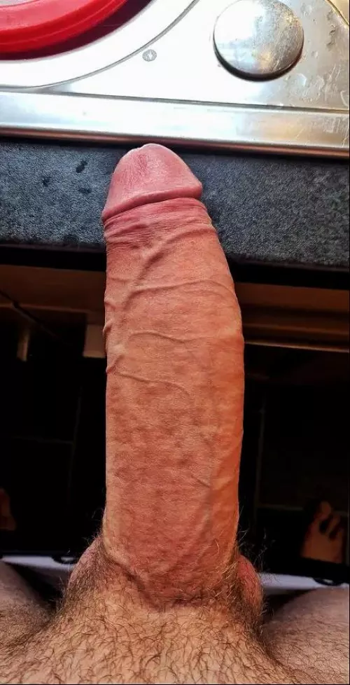 Who's up for a ride? by cheesywine69