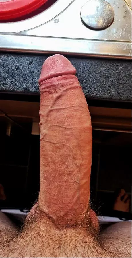 Who's up for a ride? posted by cheesywine69