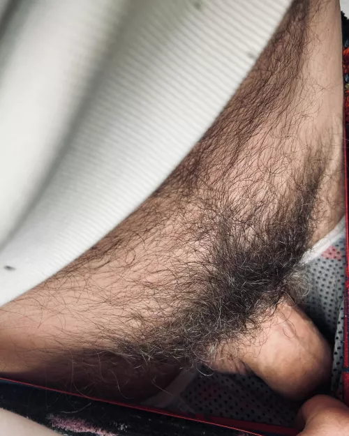 A peek inside my briefs... by jerseyjaxoff