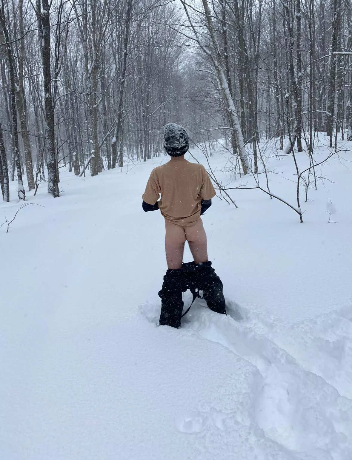 Anyone else enjoy some trails this winter? posted by plainwhitedoor