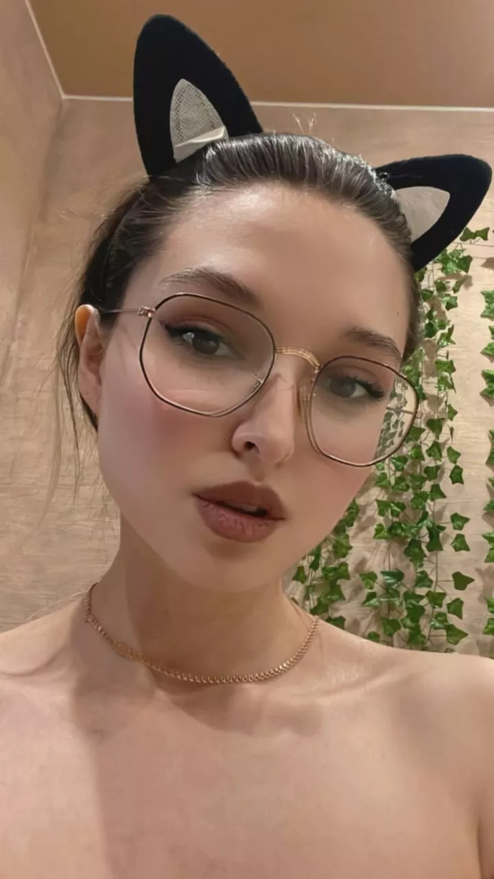 anyone wants to adopt me? posted by pluckilyriffle