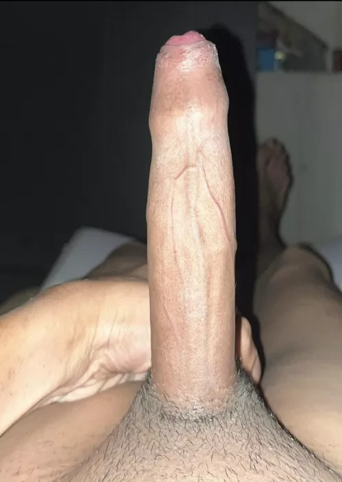 Blow Till I Flow Or Slide and Glide? by Veiny-dong