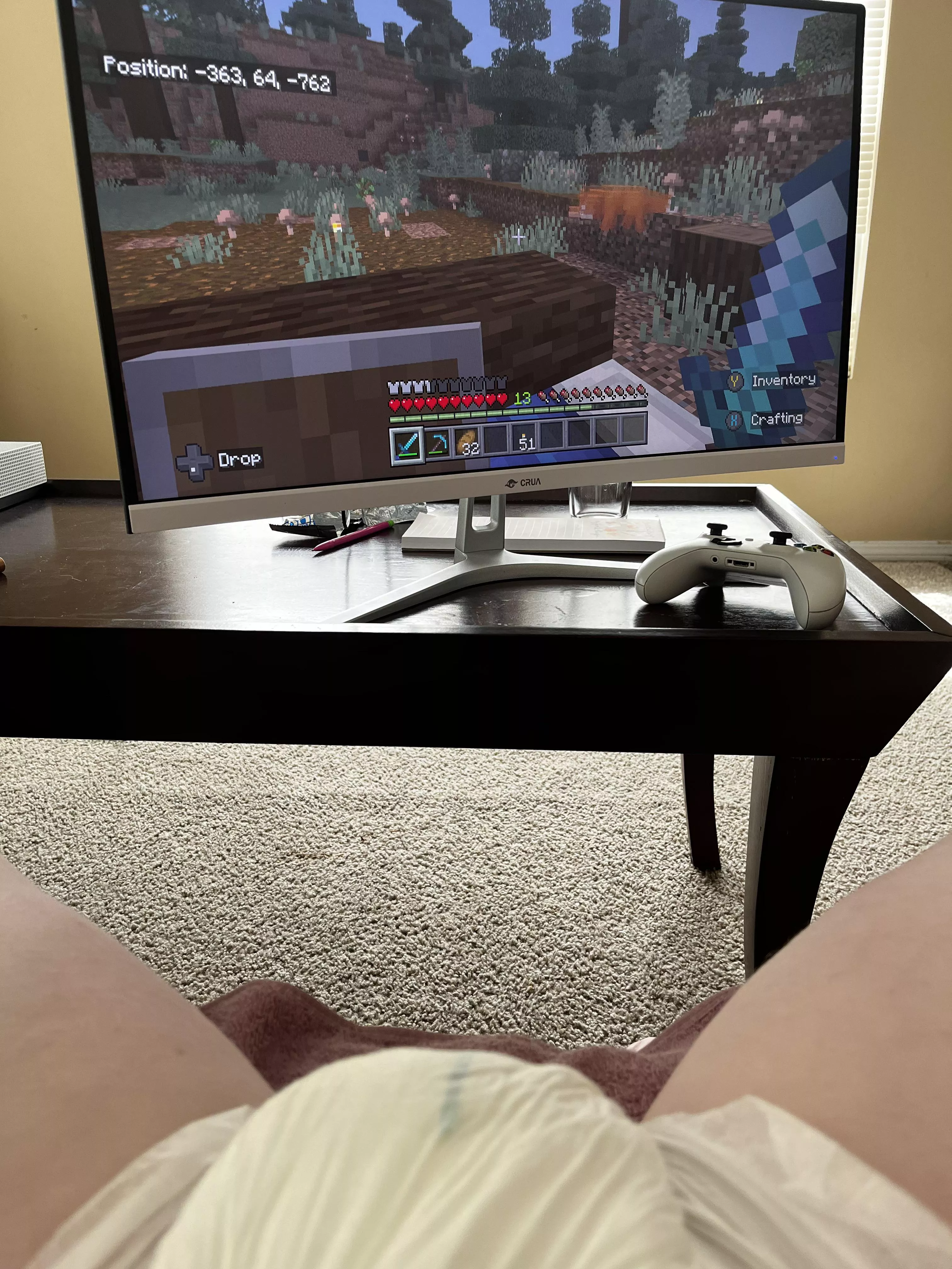 Can someone play with me while I play Minecraft 🥺👉🏻👈🏻 posted by Dapper_Air5408