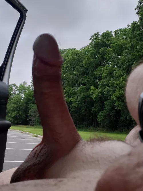 Cruising the park by ElectricZ55