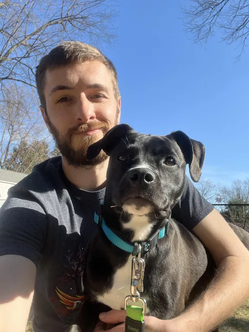 Doge life by BeardedGay