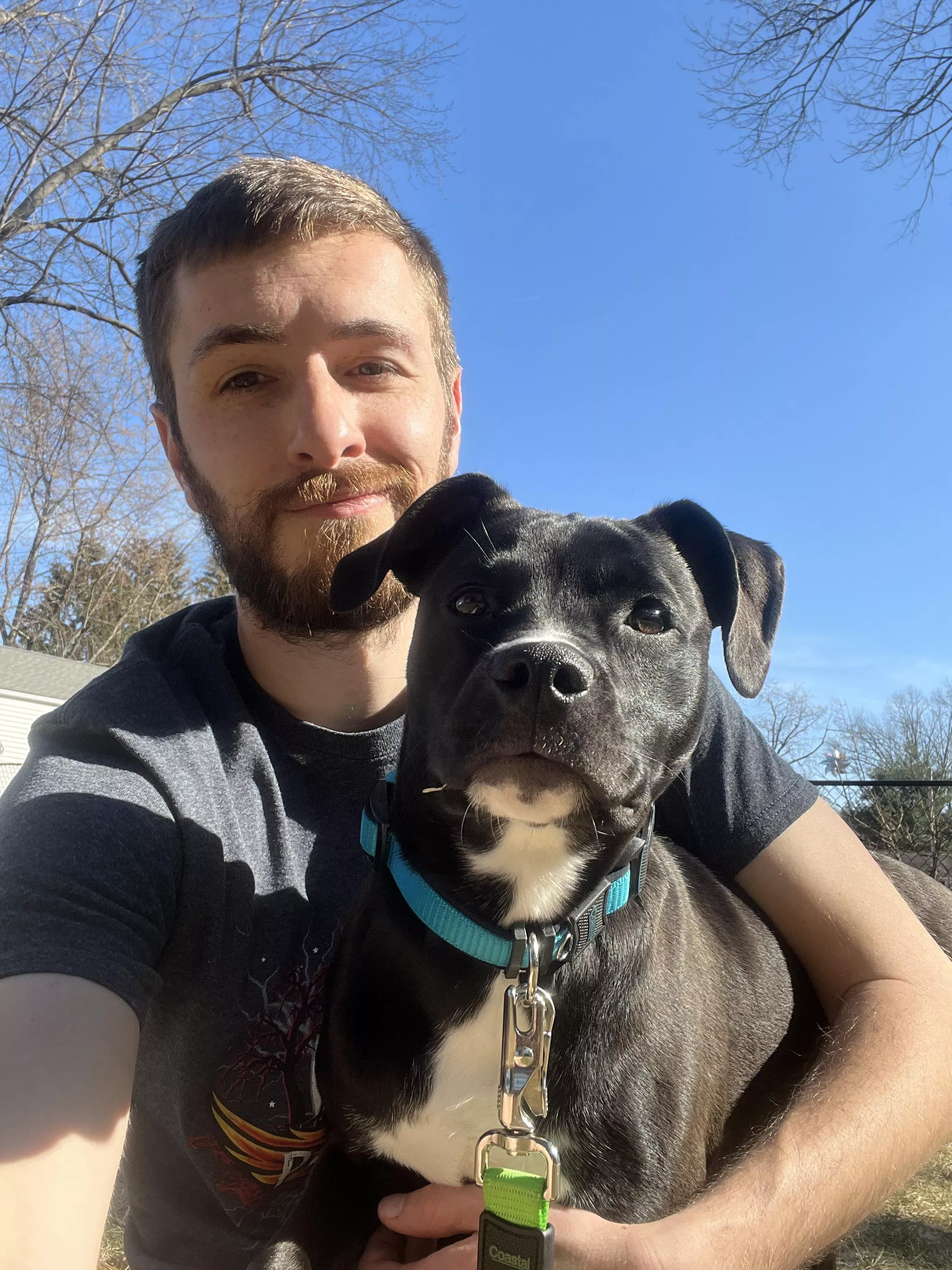 Doge life posted by BeardedGay