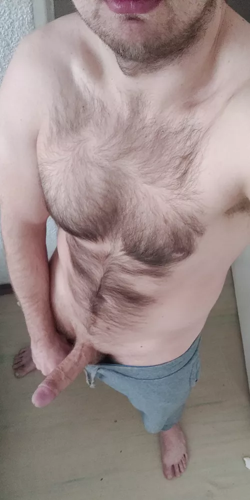 Friday morning wood by sven_lv