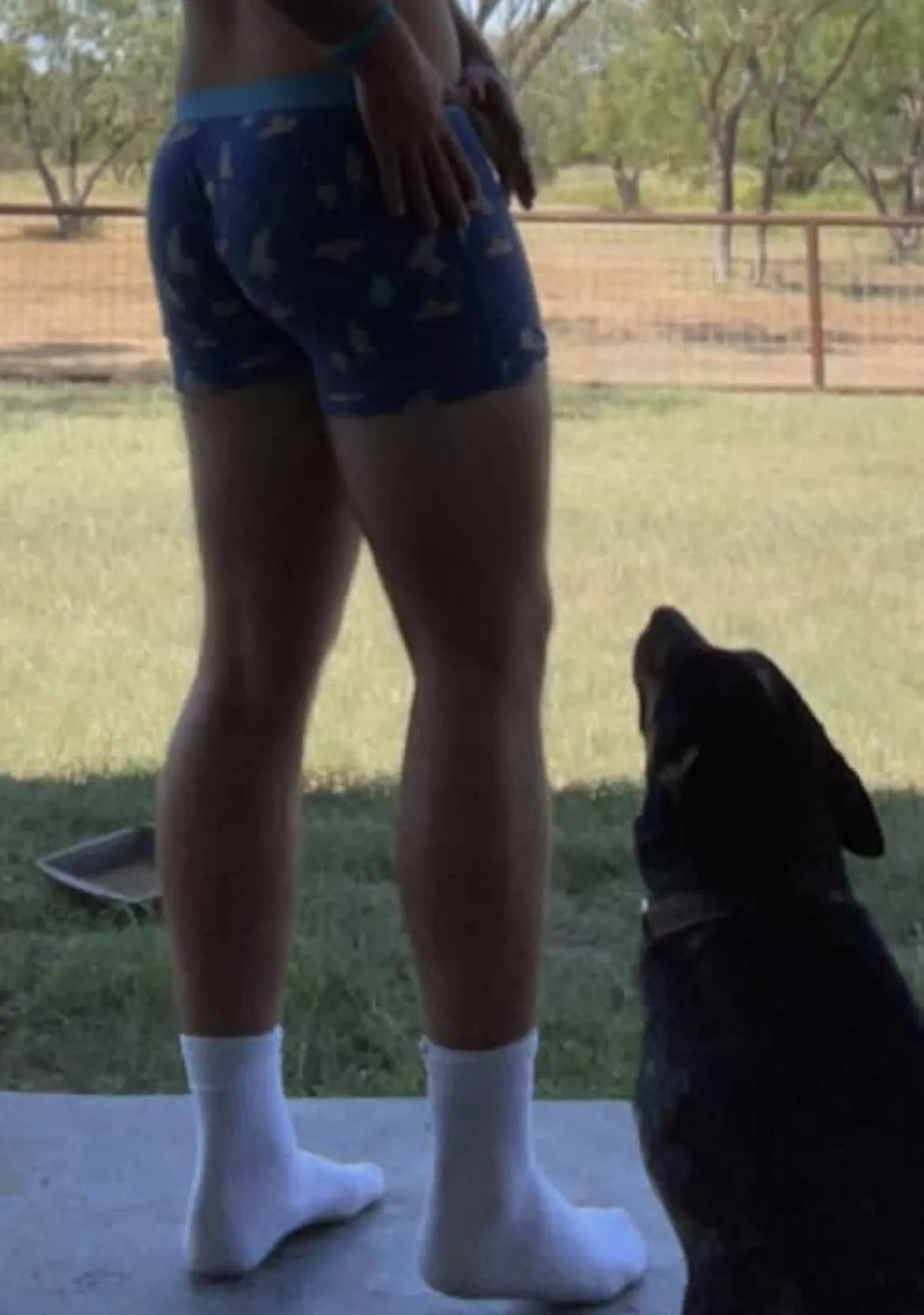 good undies? (DMs open) posted by faustasia