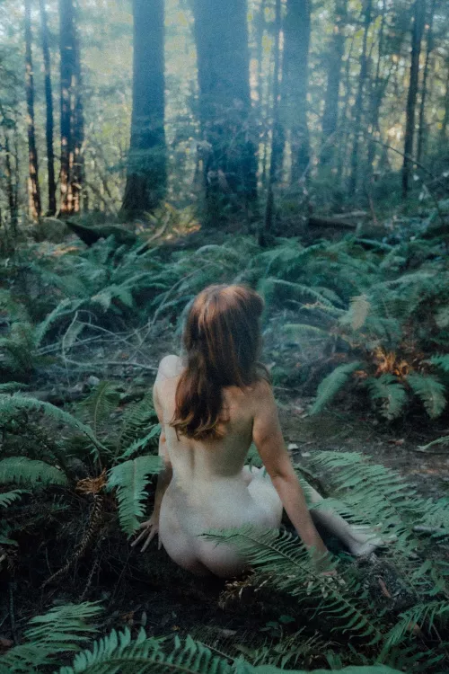 Grounding With the Fern Forest by daintyrascal