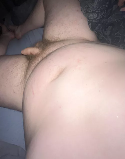 Hairy and hairless all at once  by bushytang