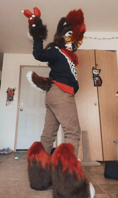 Happy Fursuit Friday! It’s my Birthday today! :3 by mcharpymeal