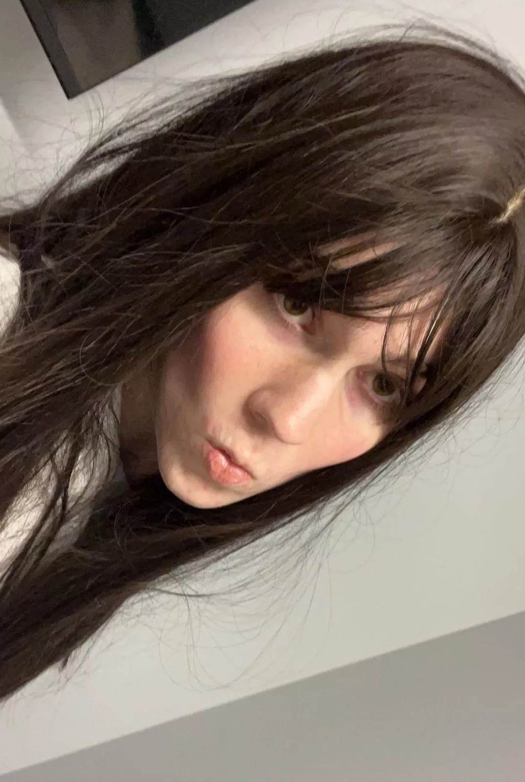 Hii >:3 posted by Pirmrose