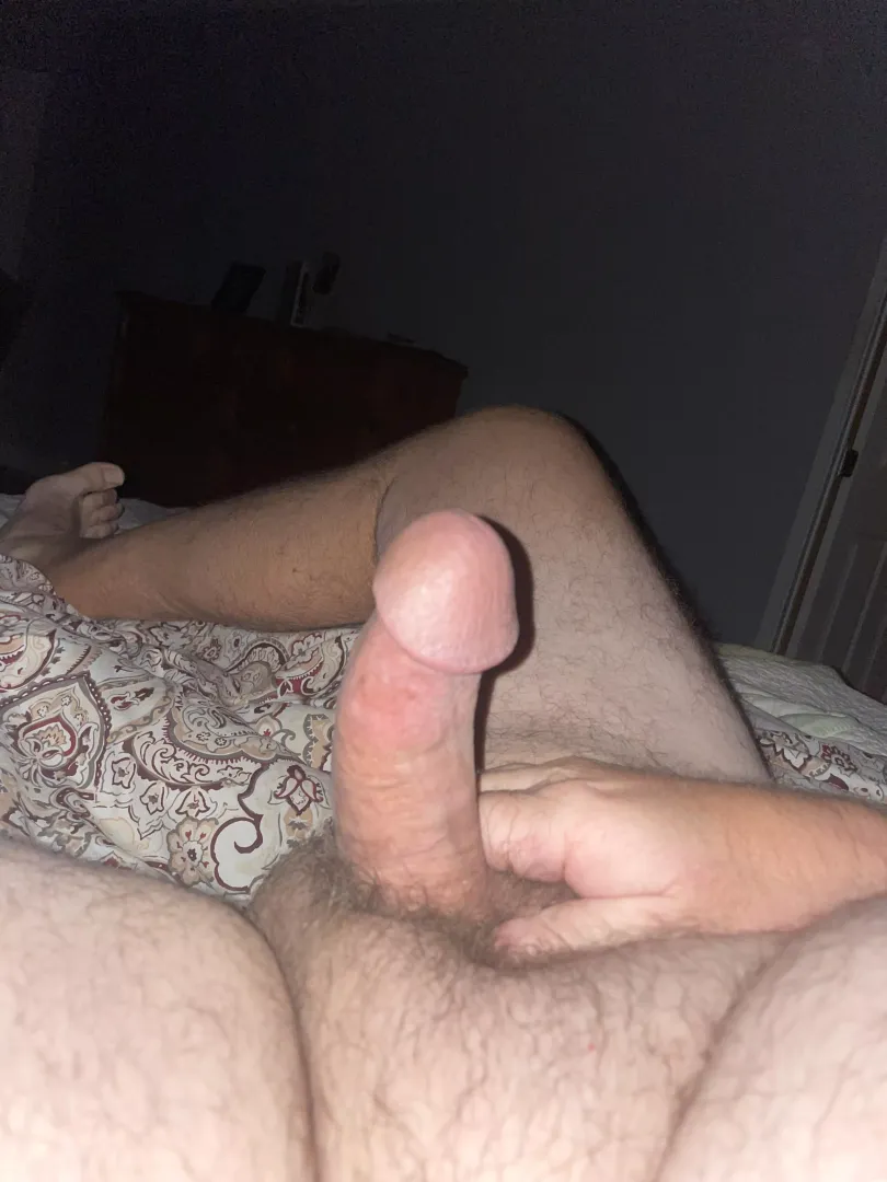 Horny as usual tonight! ALL THESE COCKS!  posted by Expensive-Seesaw-633