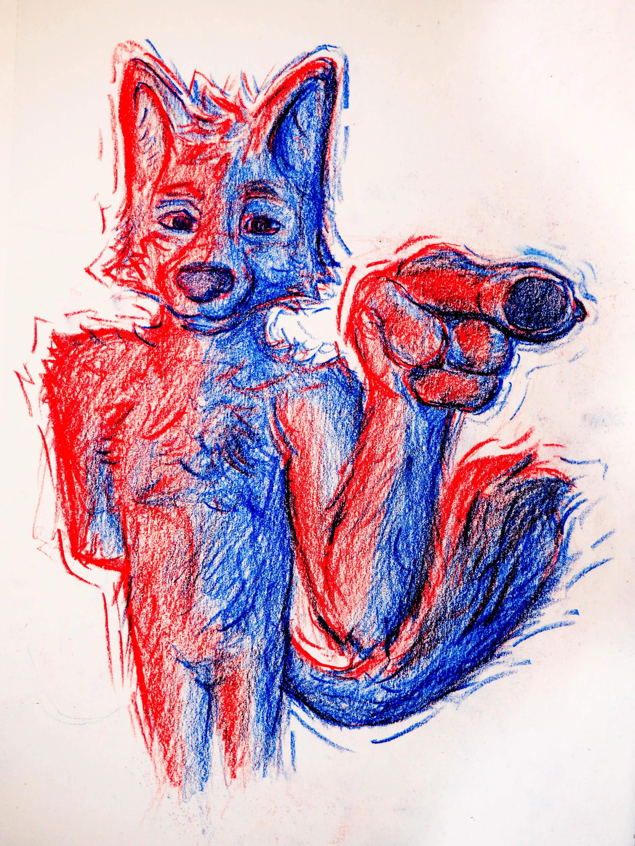 I tried to use colored pencils for the first time. Opinions ? posted by fox_757