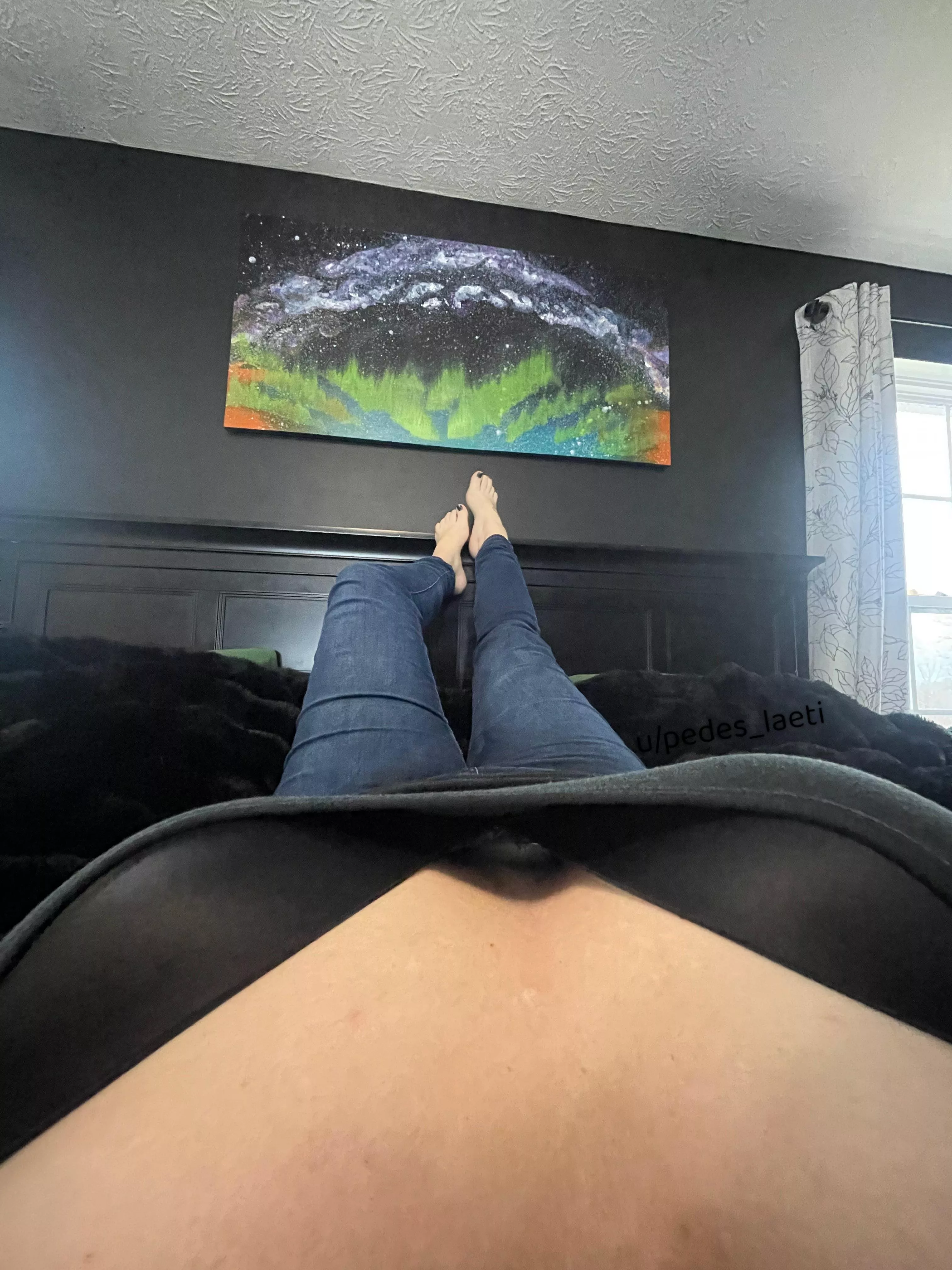 Just hangin’ out  posted by Pedes_Laeti