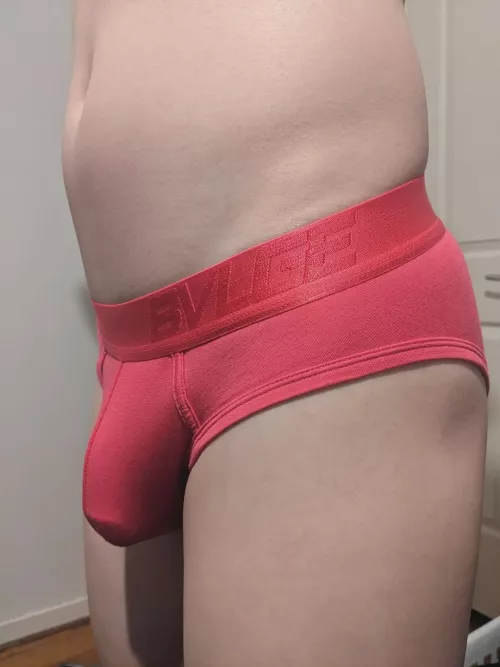 Korean Australian — these briefs hug my cock so good by Ready-Ad-132