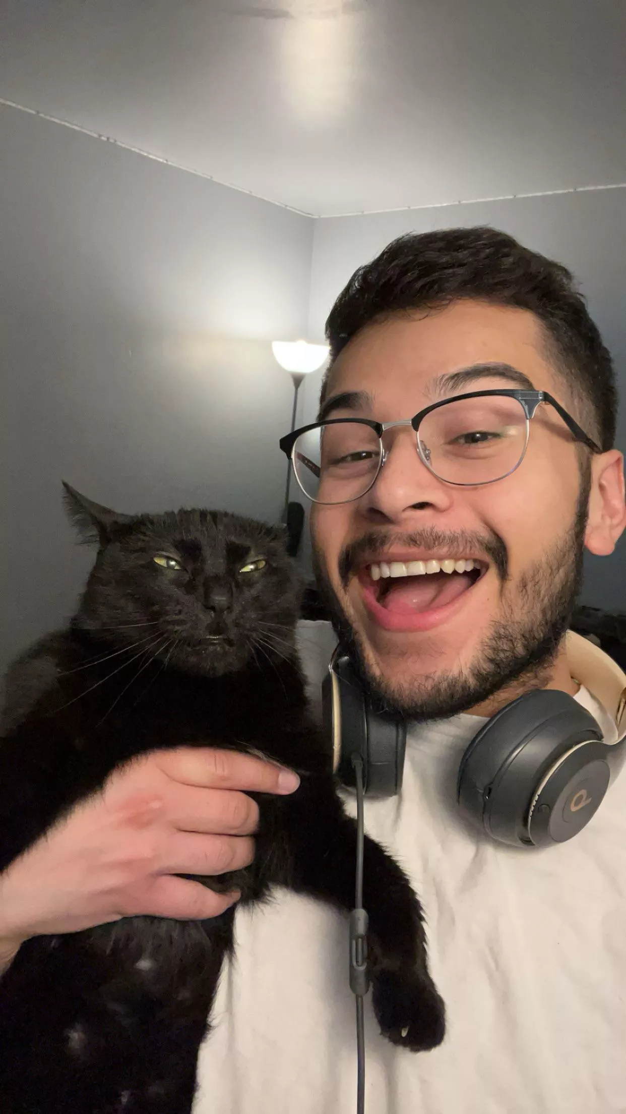 My cats face describes how this week has went, it’s almost the weekend though 😮‍💨 posted by oddone198