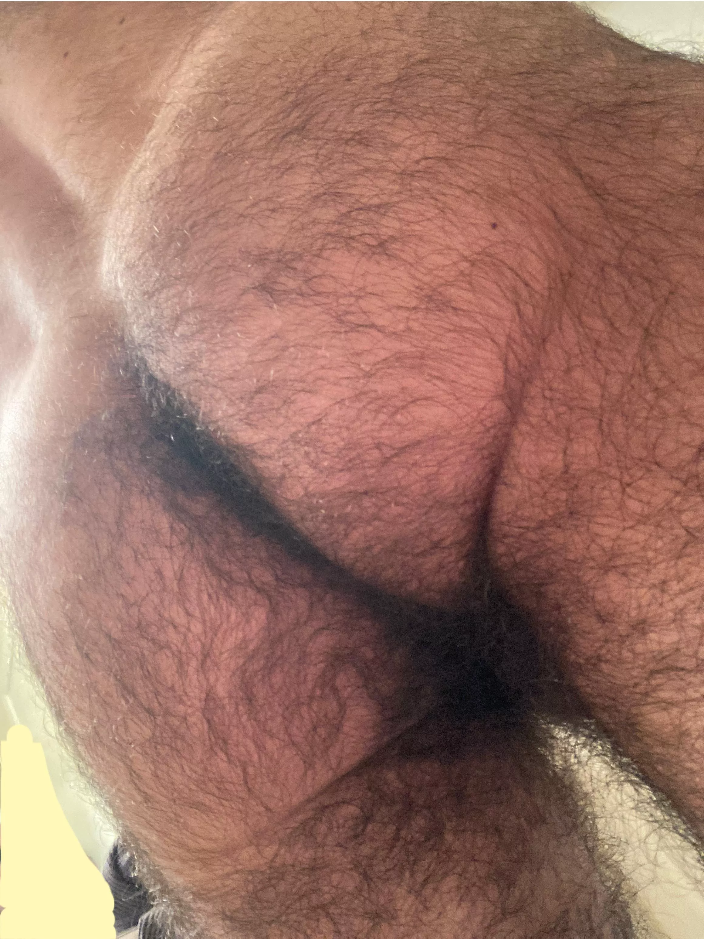 My man ass is hairy posted by PiercedX