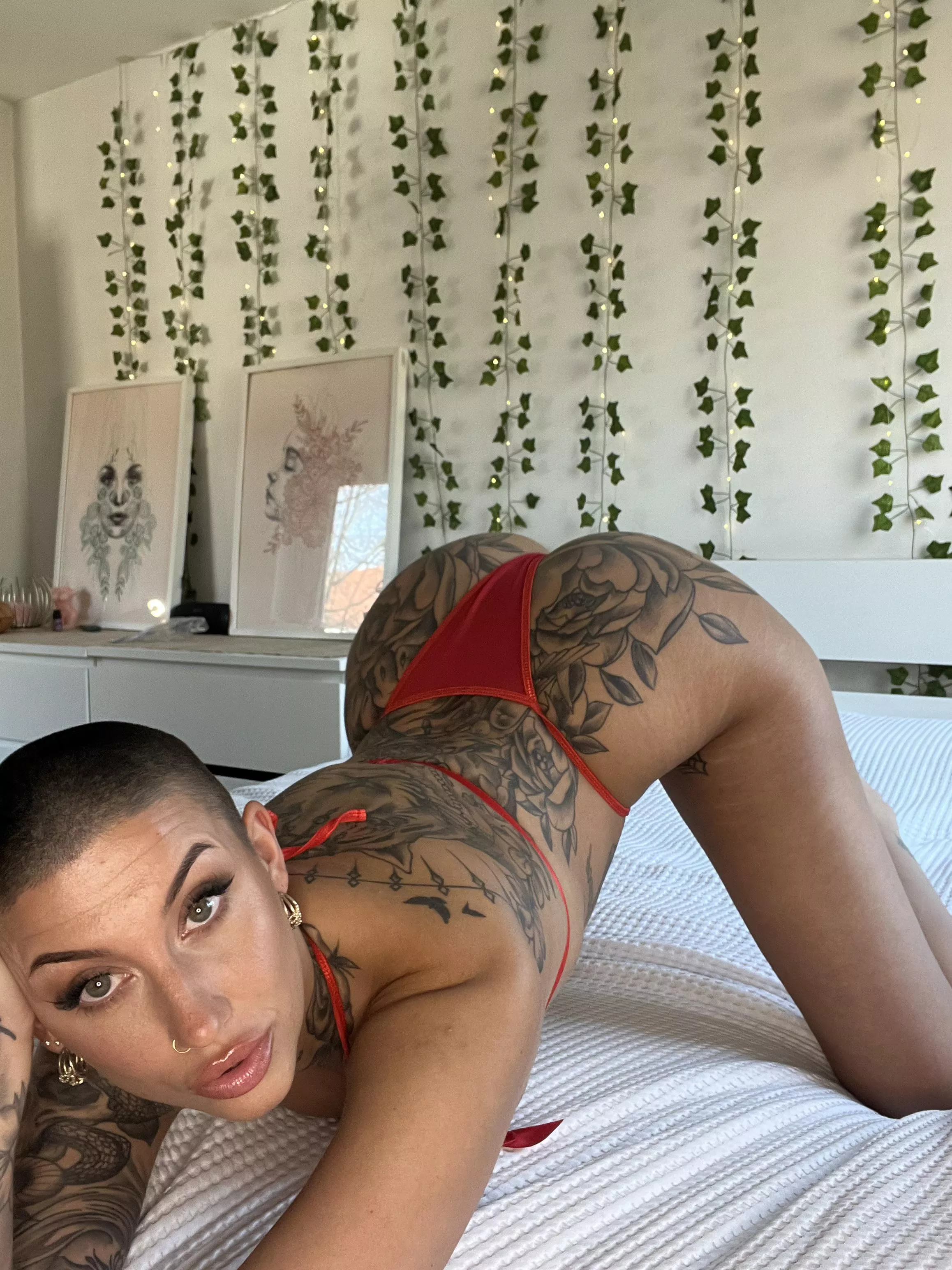 Say Hi if you’d like to shave my head 😊 posted by tattooedmia_