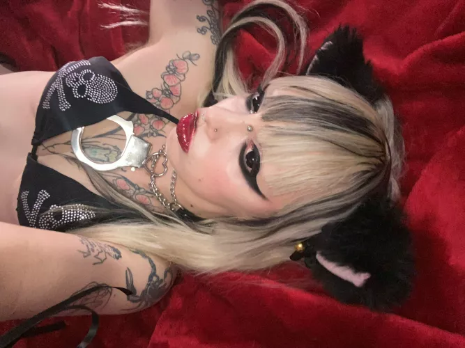 tatted tits >>> by Aggravating-Curve-27